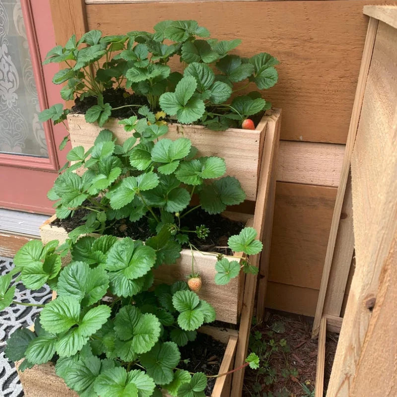 Handmade 3 Tier Cedar Raised Garden Planter